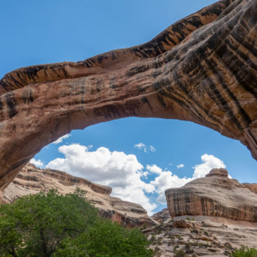 Natural Bridges National Monument Nationalpark