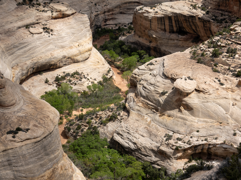 Immer wieder: Wie eine Schlange hat sich der Fluss in die Landschaft eingeschnitten. Unten der grüne Boden des Canyons.