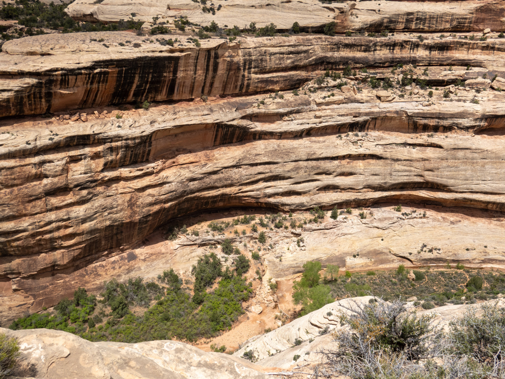 Am Rand das Canyons haben sich vor mehr als 1'000 Jahren Pueblo Nativs niedergelassen. Überreste einer solchen Siedlung