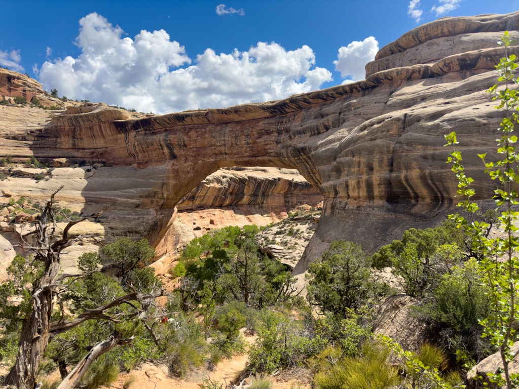 Von der Rückseite gesehen. Die mächtige Kachina Bridge. Eine der drei natural bridges.