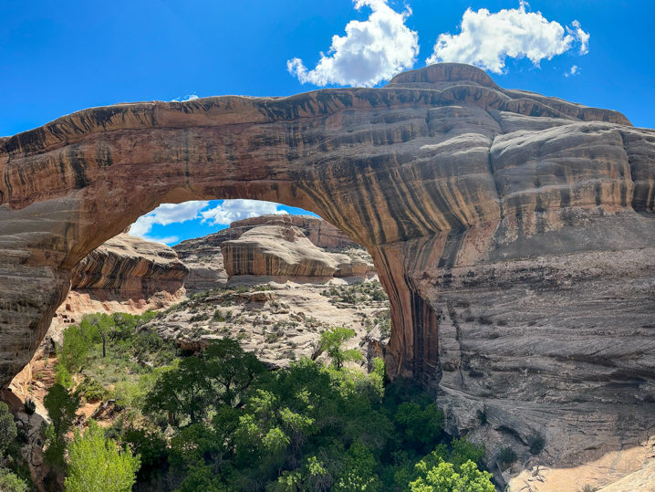 Von der Rückseite gesehen. Die mächtige Kachina Bridge gibt ein Blick hindurch zum Himmel frei.