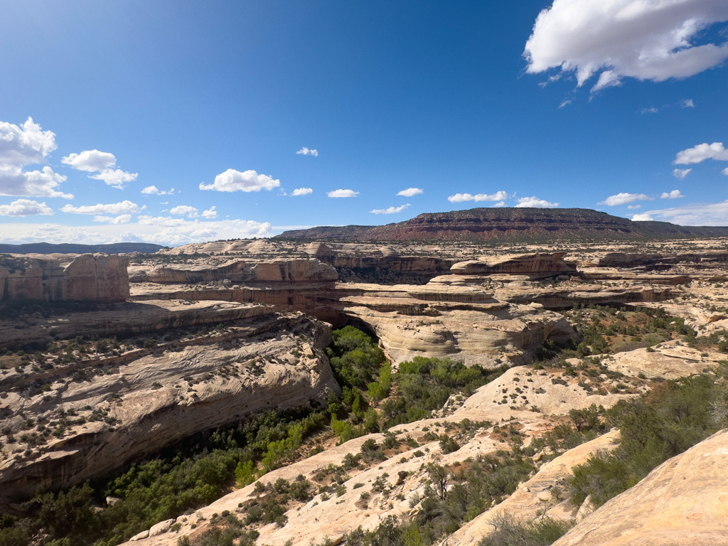 Der Canyon. Ein Wirr Warr an Windungen, Treppen und versteckt eine weitere natural bridge