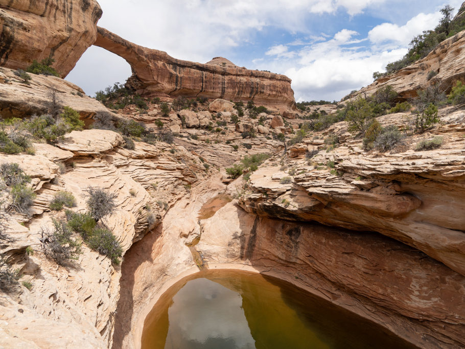 Die Sipapu Bridge und davor noch eine kleine mit Regenwasser gefüllte Senke