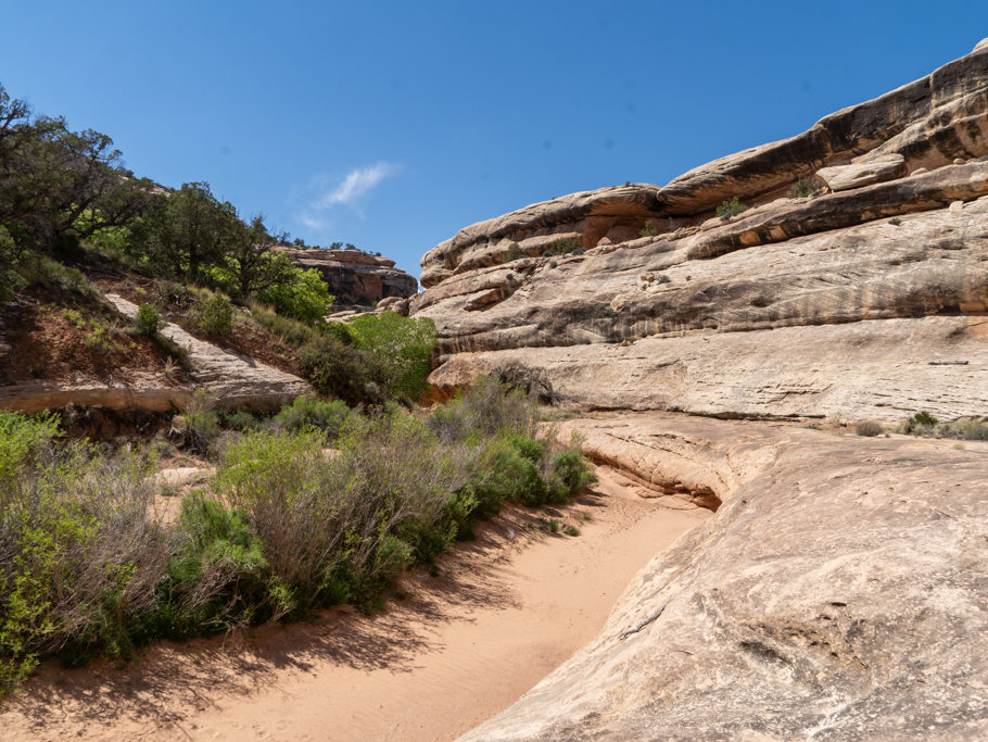 Der Canyon. Ein Gemisch aus Gestein und grüner Natur.