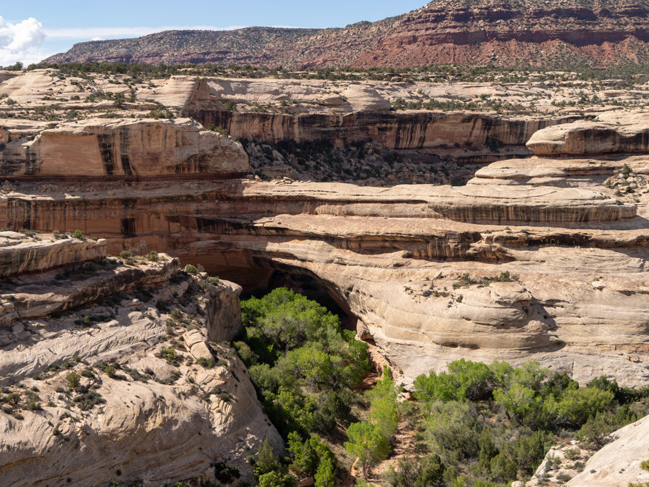 Der Canyon. Ein Wirr Warr an Windungen, Treppen und versteckt eine weitere natural bridge. Nur zu erahnen ist die Owochamo Bridge
