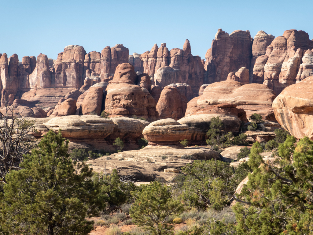 Faszinierender Needles District des Canyonland Nationalparks