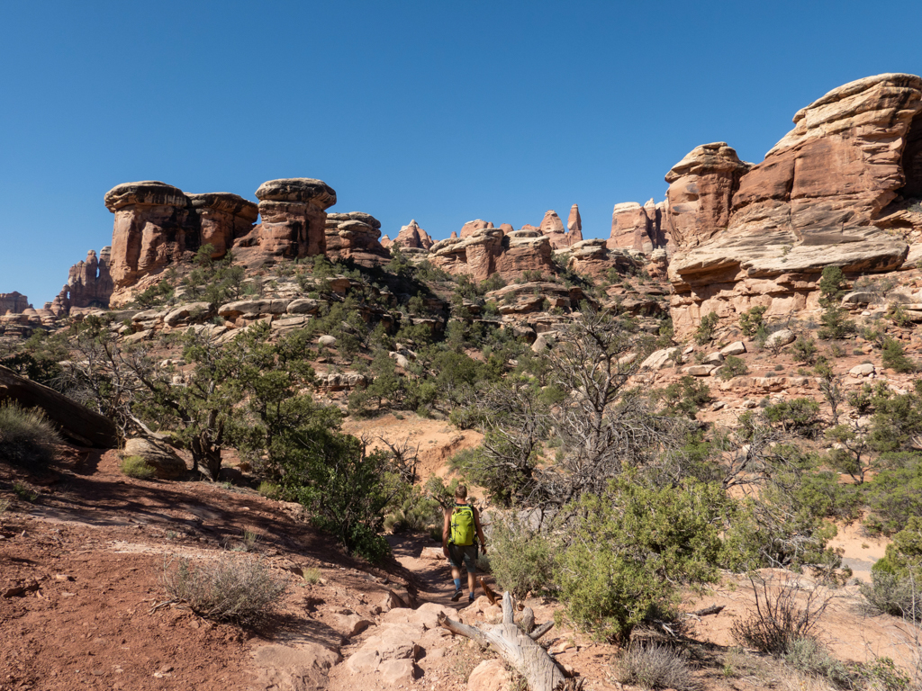 Mächtige Needles säumen den Weg während der Wanderung durch den Needles NP