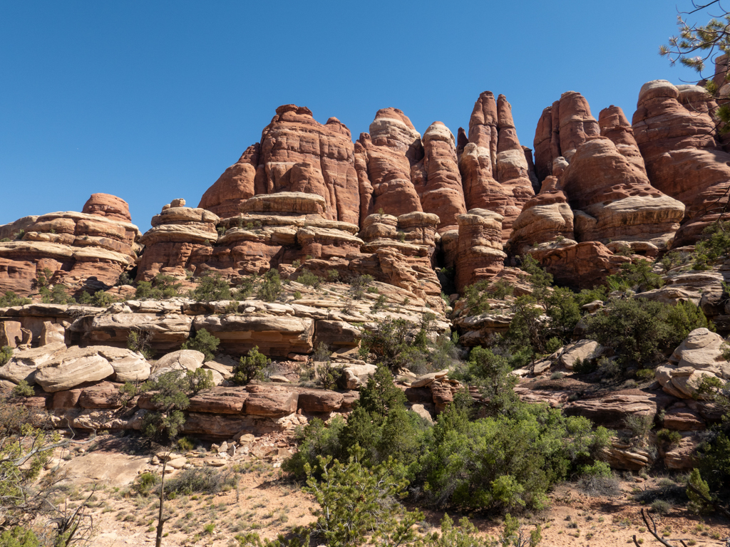 Mächtige Needles säumen den Weg während der Wanderung durch den Needles NP