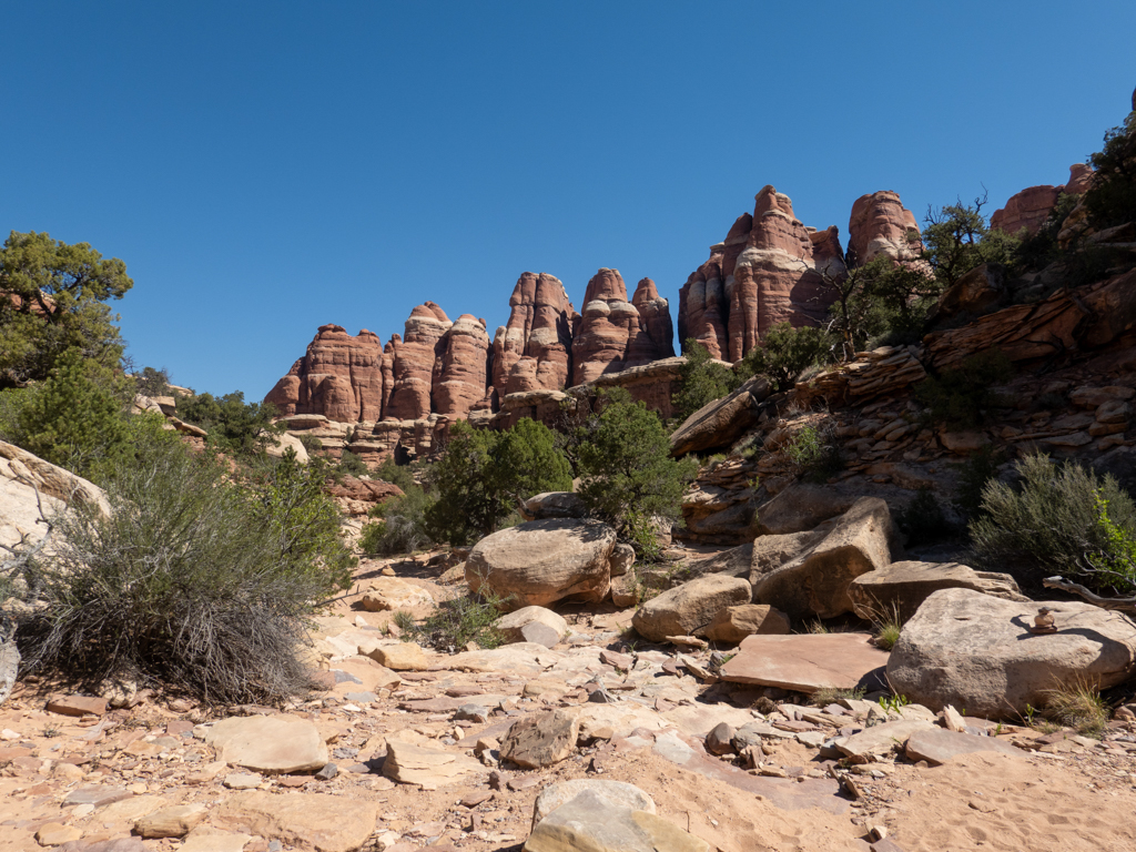 Mächtige Needles säumen den Weg während der Wanderung durch den Needles NP