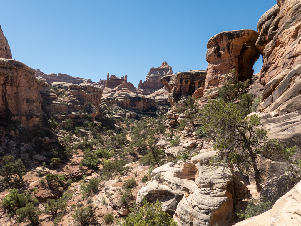 Ein steiniger wilder und doch grüner kleiner Canyon im Needles NP