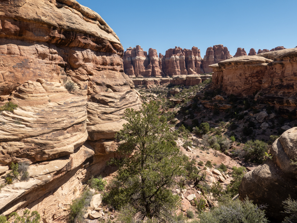 Ein steiniger wilder und doch grüner kleiner Canyon im Needles NP