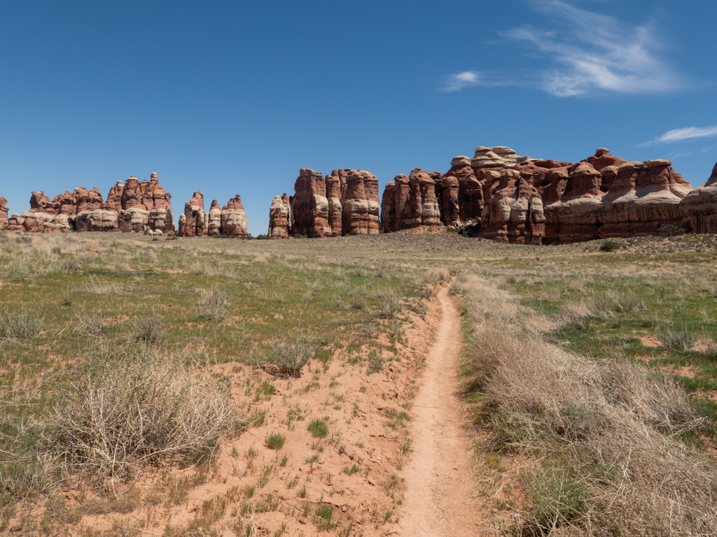 Wir wandern durch eine grüne Ebene im Needles NP. Die Needles sind all gegenwärtig