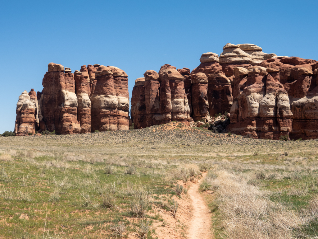 Wir wandern durch eine grüne Ebene im Needles NP. Die Needles sind all gegenwärtig