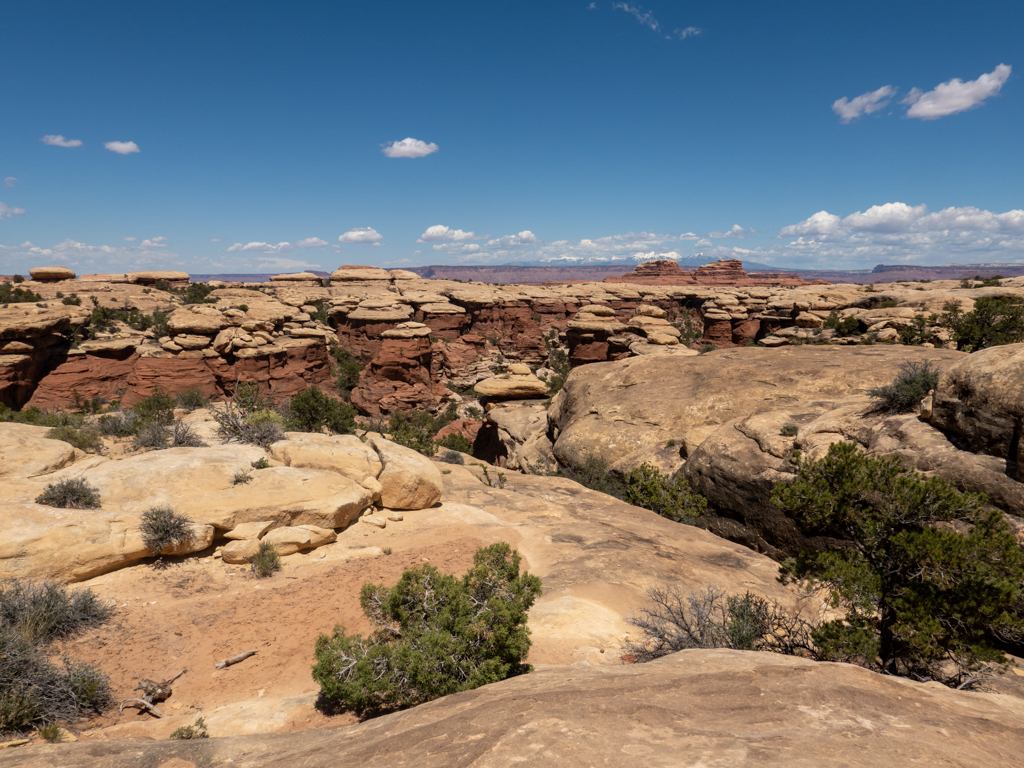 Während der Wanderung durch den Needles NP. Wir sehen ein Feld voller Hoodoos vor uns