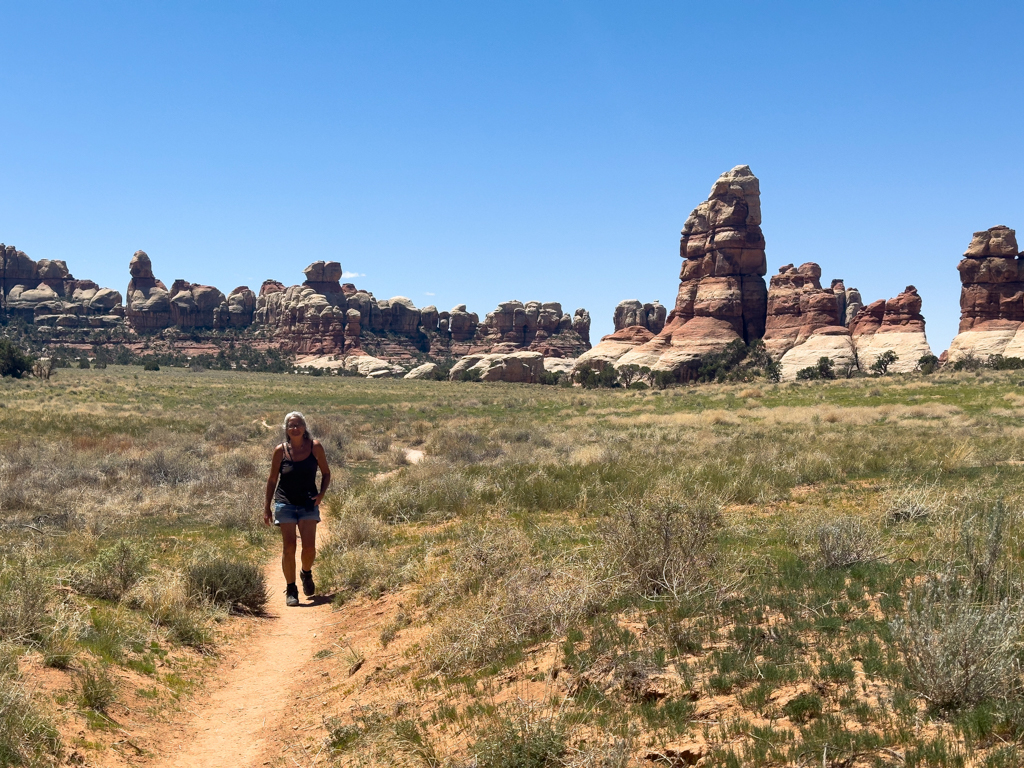 Wir wandern durch eine grüne Ebene im Needles NP. Die Needles sind all gegenwärtig