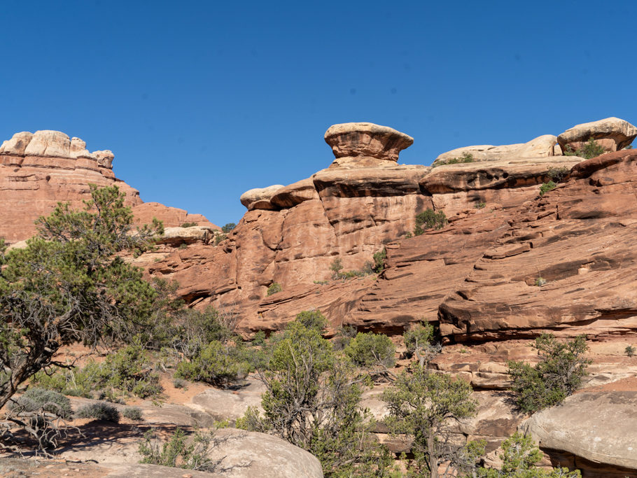 Elephant Hills im Needles District des Canyonland Nationalparks