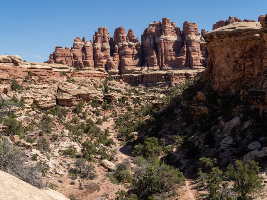 Ein steiniger wilder und doch grüner kleiner Canyon im Needles NP