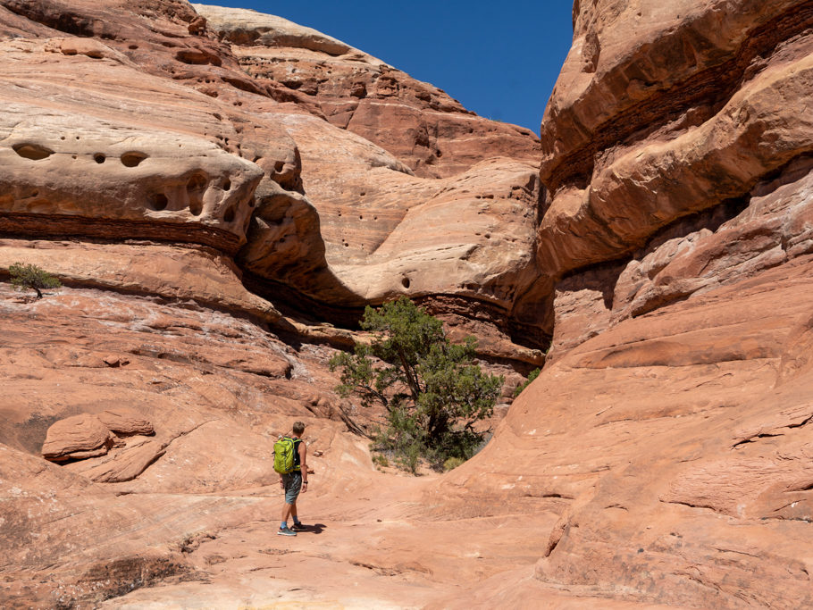 Wir wandern durch den beeindruckenden Needles NP