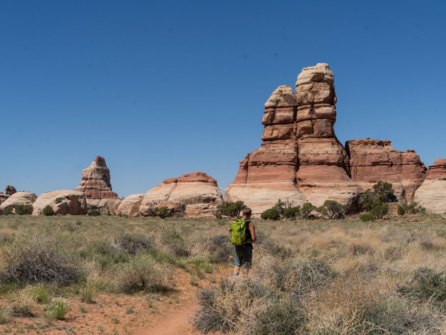 Wir wandern durch eine grüne Ebene hier im Needles NP. Am Rand ein Felsband mit Needles und Hoodoos