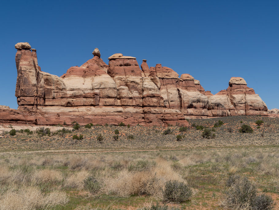 Wir wandern durch eine grüne Ebene hier im Needles NP. Am Rand ein Felsband mit Needles und Hoodoos