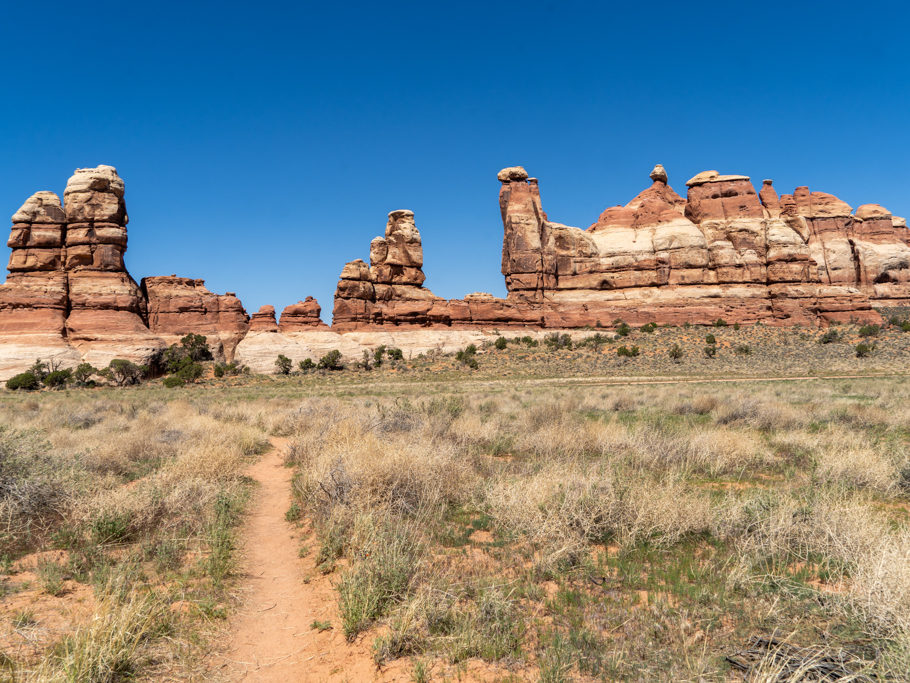 Wir wandern durch eine grüne Ebene hier im Needles NP