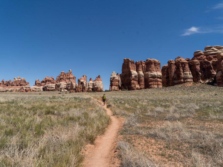 Wir wandern durch eine grüne Ebene im Needles NP. Die Needles sind all gegenwärtig