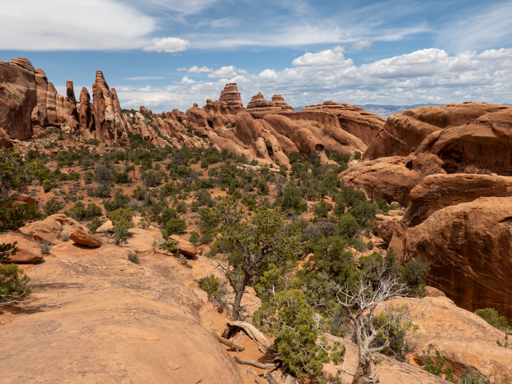 Auch der Arches NP ist voller Needles und steiniger Rippen