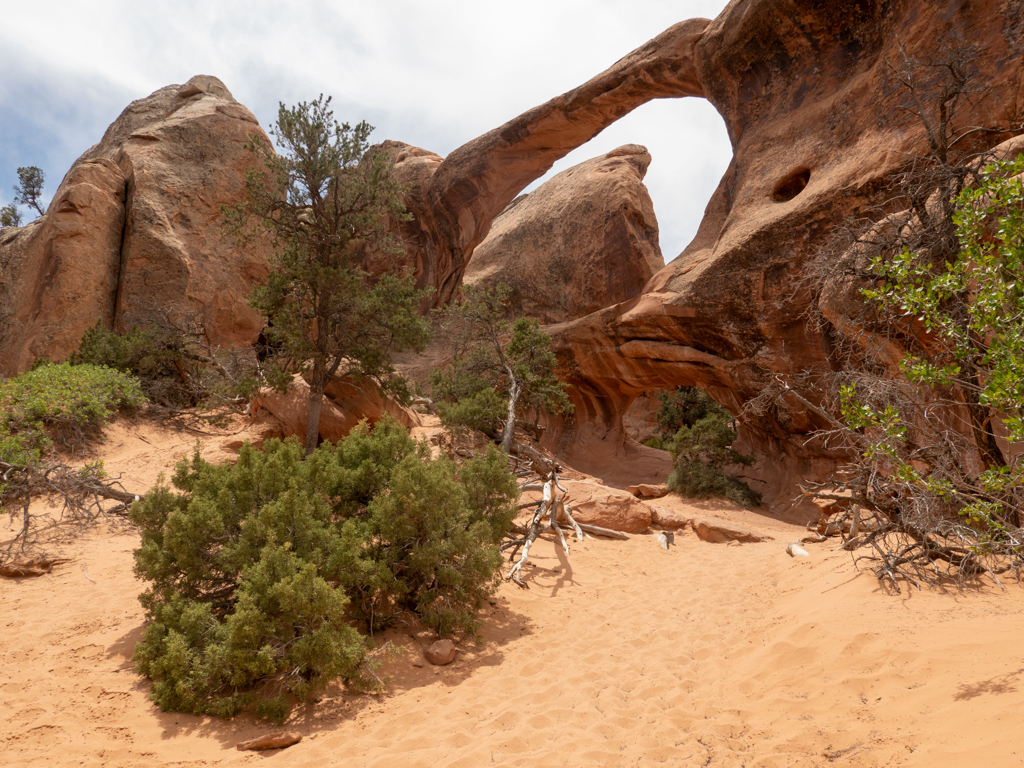 Durchblick durch einen der vielen Arches hier im Arches NP