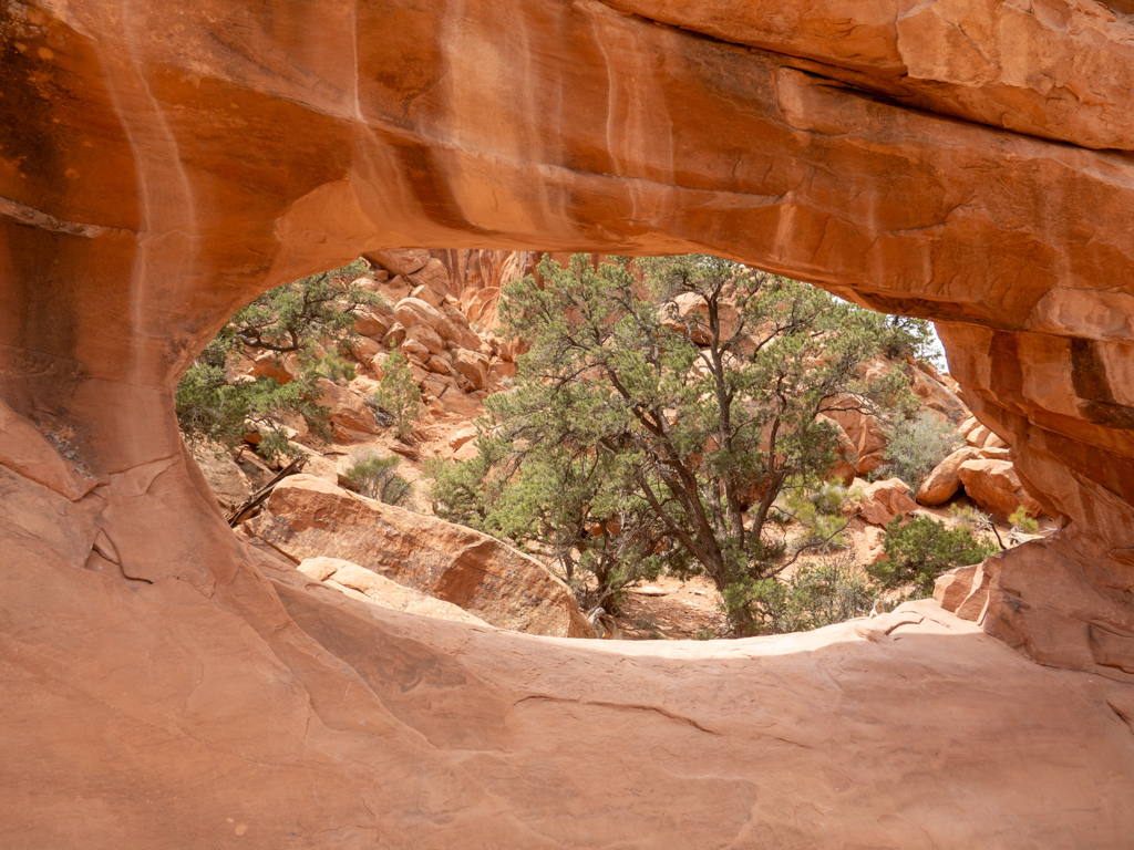 Durchblick durch einen der vielen Arches hier im Arches NP