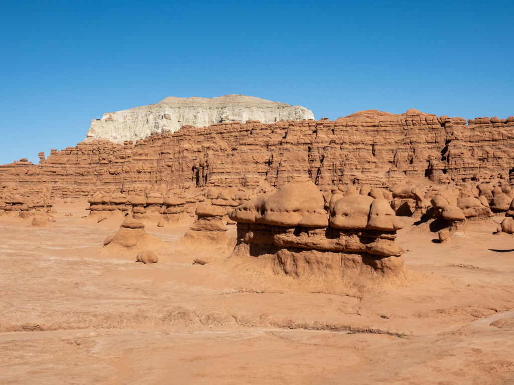 viele kleine rote Goblins vor einer fast weissen Felswand im Goblin Valley State Park