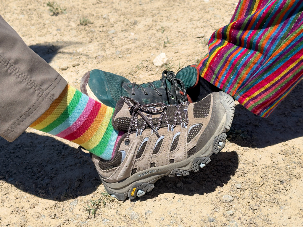 JoMa längs und quer gestreift. Etwas Farbe in trockenen Landschaft