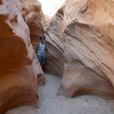 Little Wild Horse Canyon