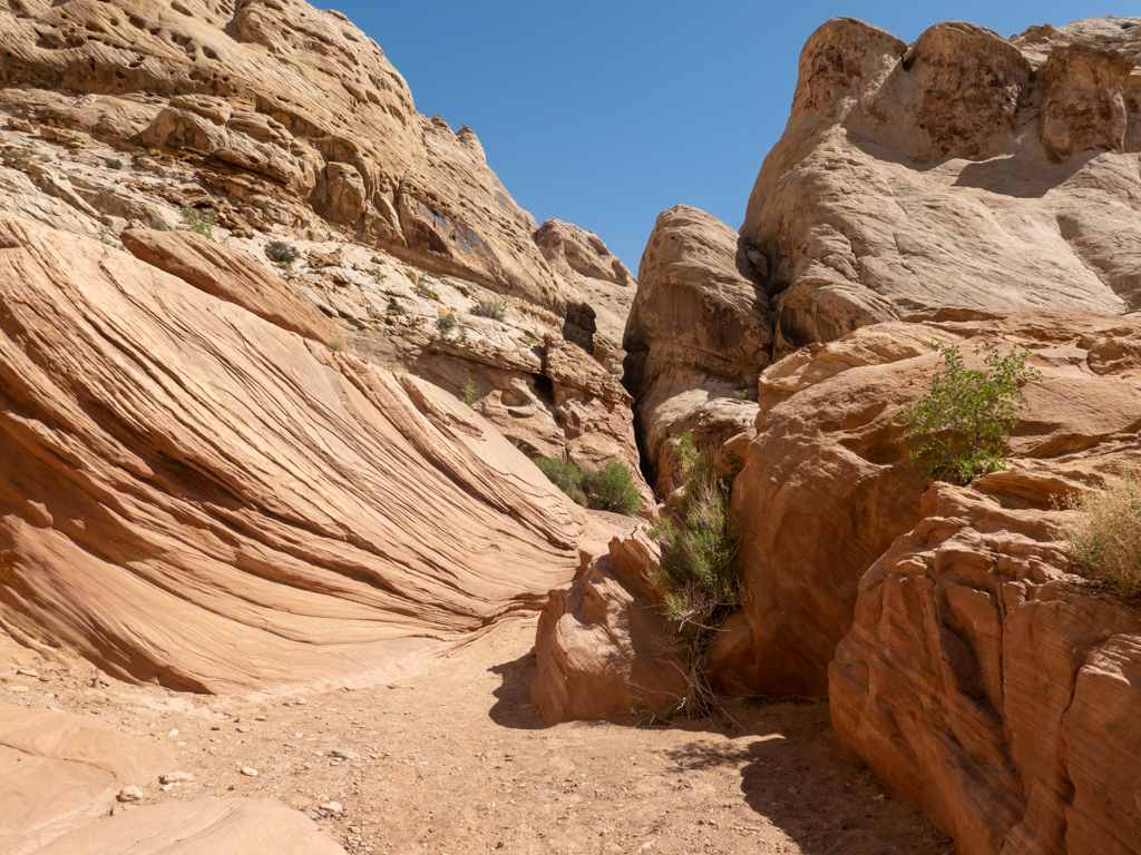 Der Little Wilde Horse Canyon wird immer schmaler, und auch wieder breiter.