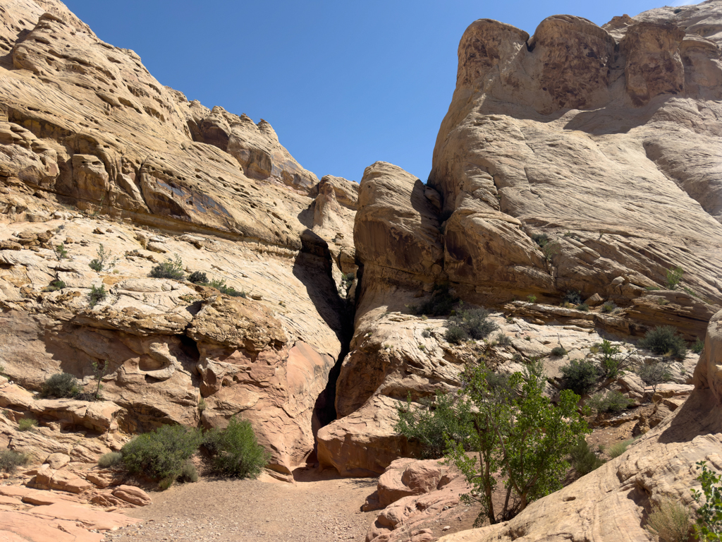 Der Little Wilde Horse Canyon wird immer schmaler.Da müssen wir durch..