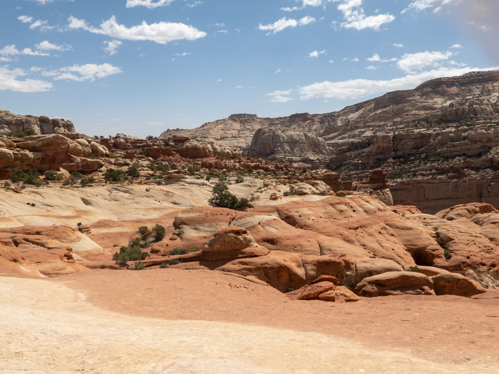 Oben auf der Ebene des Cassidy Arch mit Blick auf Felswände des Grand Wash