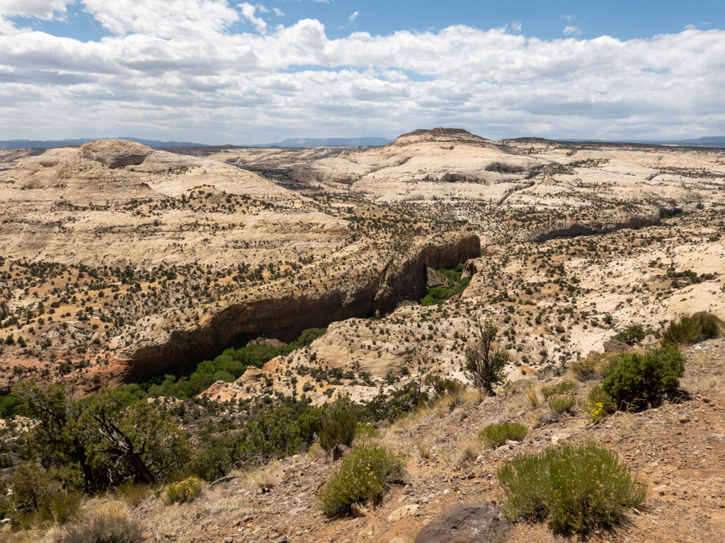 Ein Bild der kargen Landschaft zum Bryce Canyon mit einem tiefen wieder grünen Canyon
