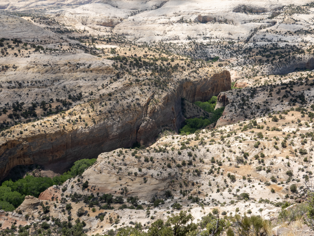 Ein Bild der kargen Landschaft zum Bryce Canyon mit einem tiefen wieder grünen Canyon