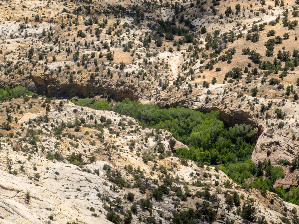 Ein Bild der kargen Landschaft zum Bryce Canyon mit einem tiefen wieder grünen Canyon