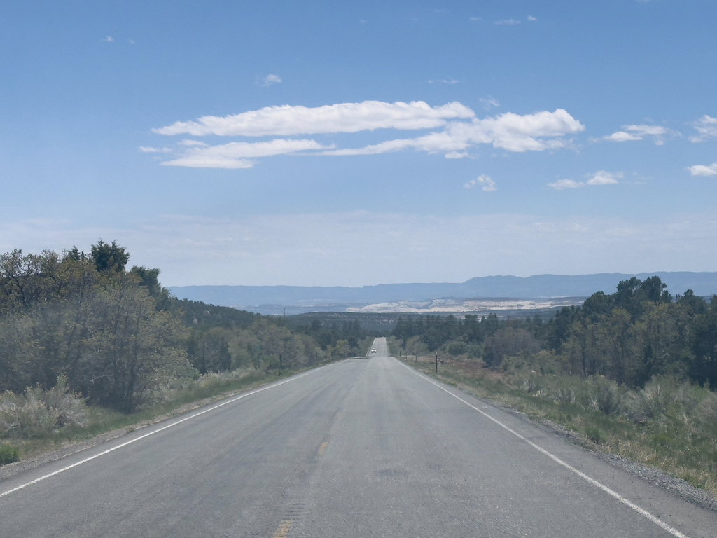 Je tiefer wir zum Bryce Canyon kommen um so grüner wird es. Nicht nur am Strassenrand.
