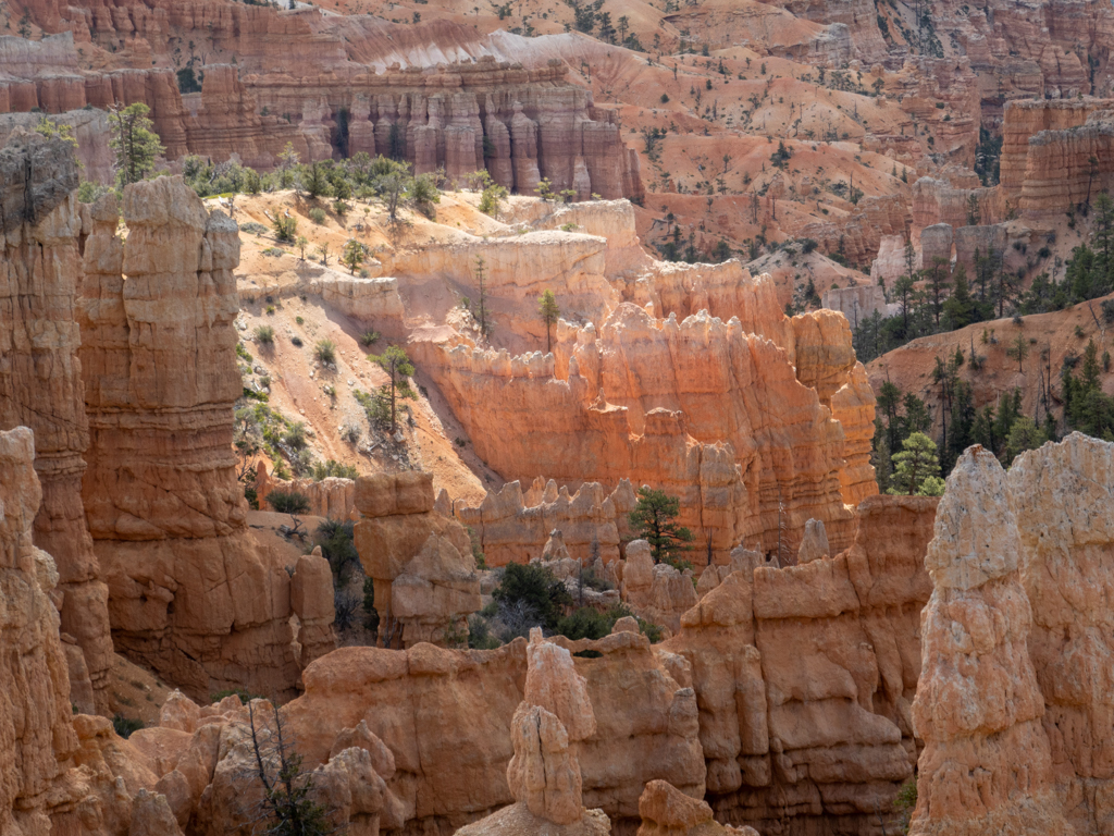 Durch ein Loch in der Wolkendecke beschienene Needles im Bryce Canyon