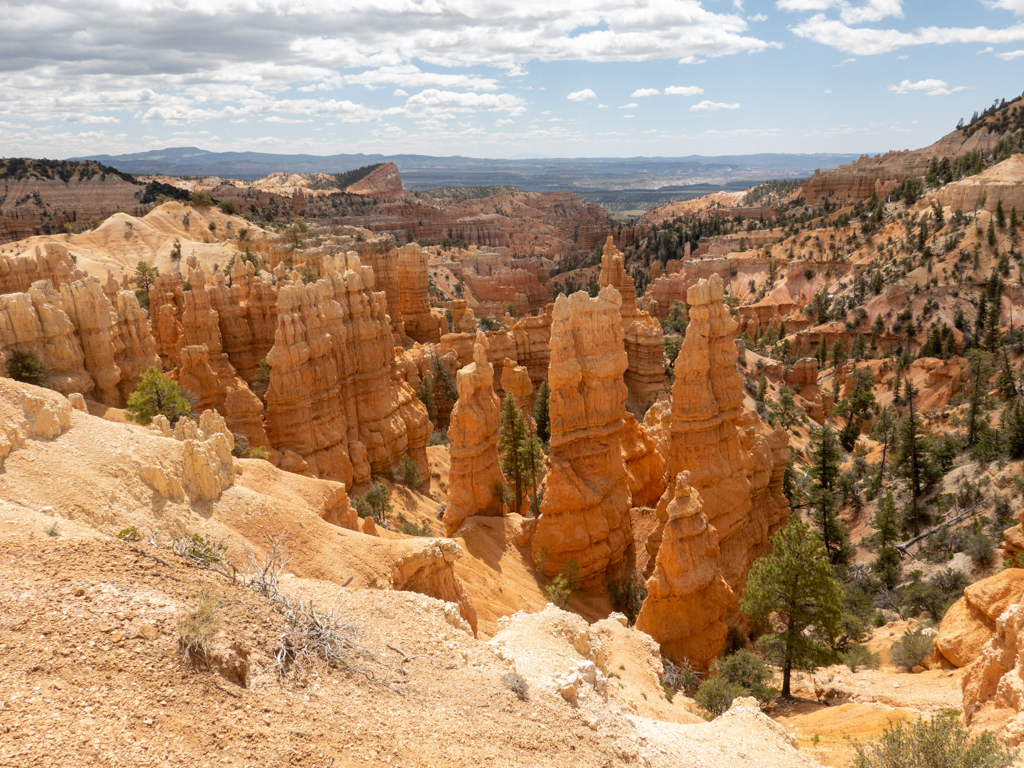 Ein rötliches Farbenmeer an Gesteinssäulen.Dahinter die Landschaft des Bryce Canyon