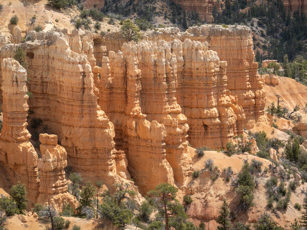 Ein rötliches Farbenmeer an Gesteinssäulen in der Landschaft des Bryce Canyon