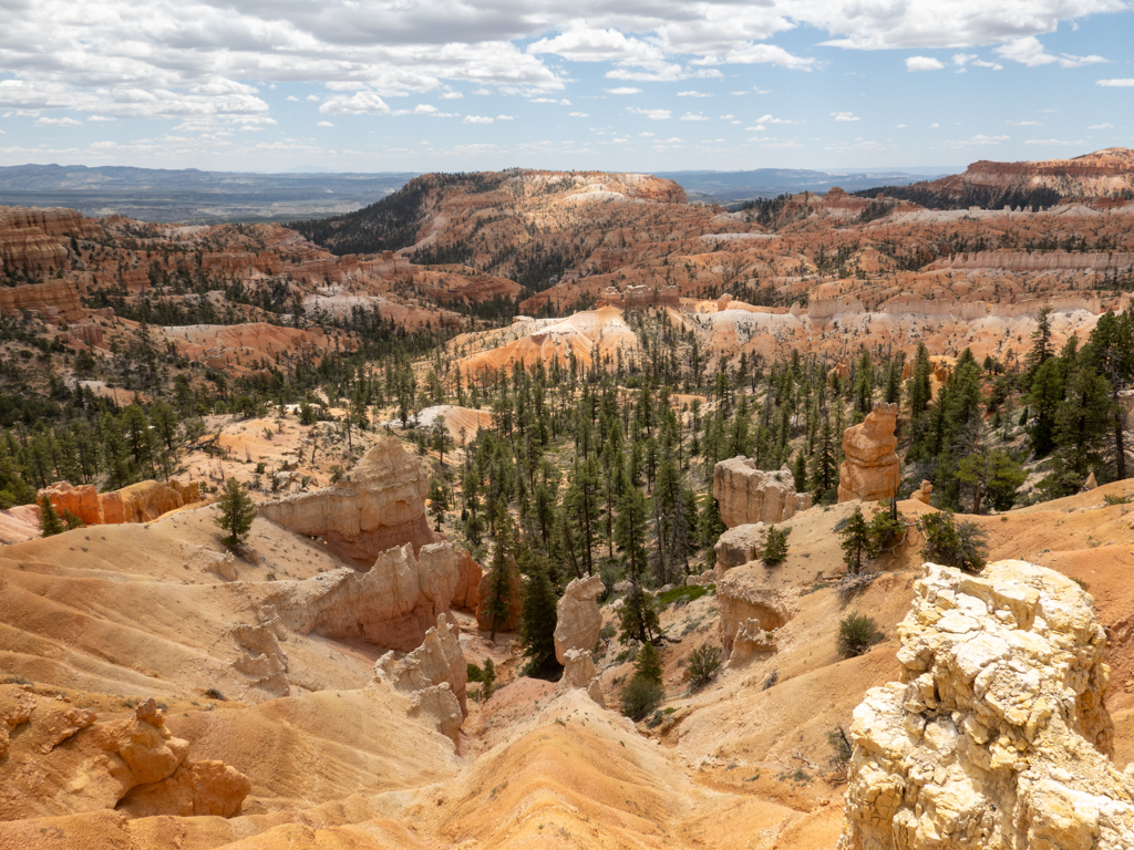 Ein rot weisses Farbenmeer an Gesteinssäulen in der teilweise grünen Landschaft des Bryce Canyon