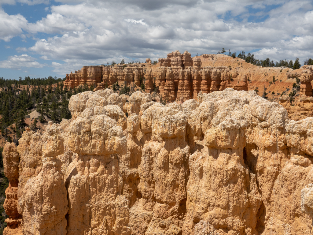 Ein rot weisses Farbenmeer an Gesteinssäulen in der teilweise grünen Landschaft des Bryce Canyon