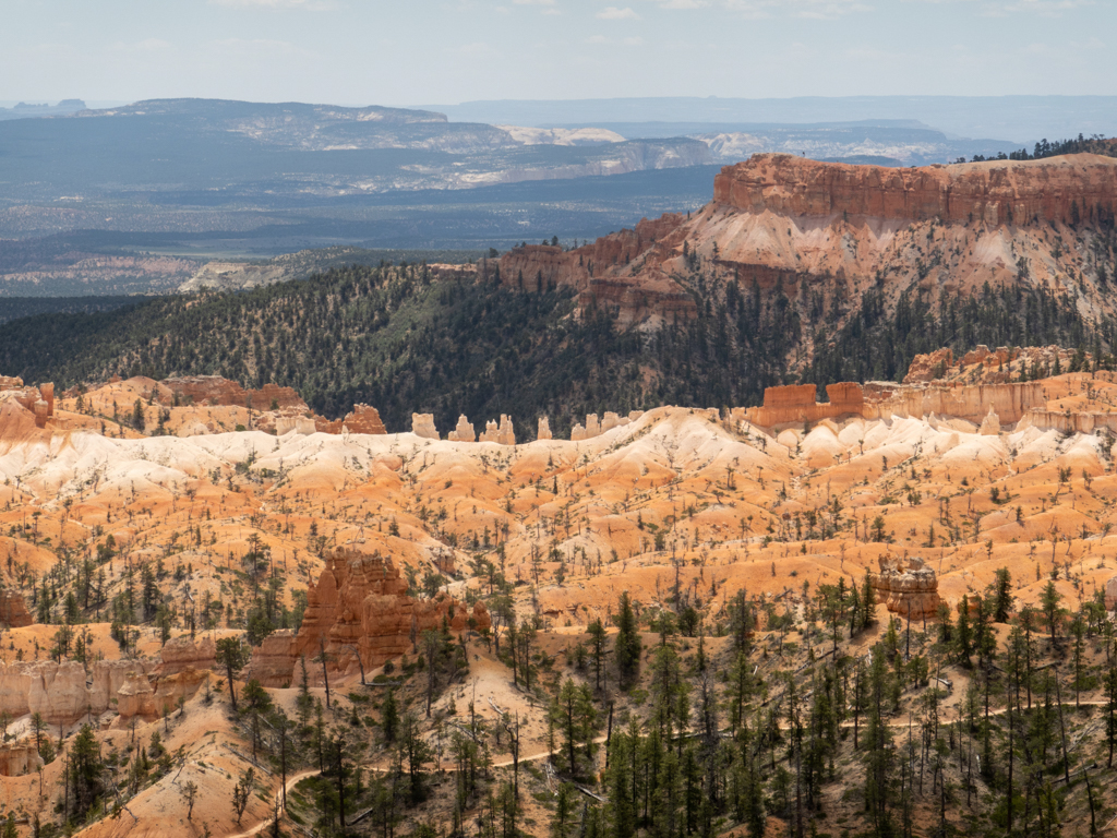 Ein rot weisses Farbenmeer an Gesteinssäulen in der teilweise grünen Landschaft des Bryce Canyon