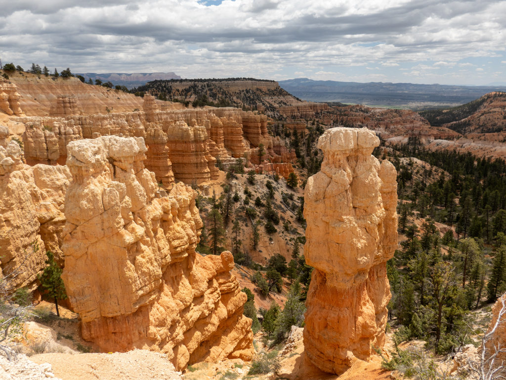 ockerfarbende Gesteinssäulen uind Schluchten gehören auch zum Bryce Canyon