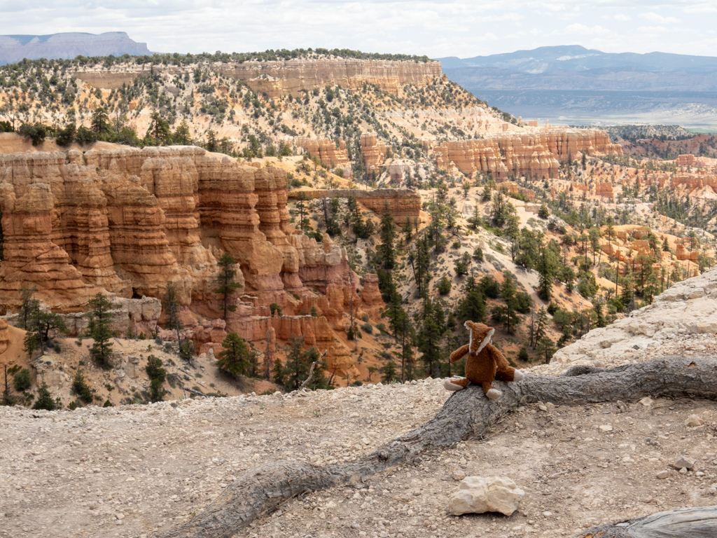 Mit Mo auf der Wanderung durch den Bryce Canyon