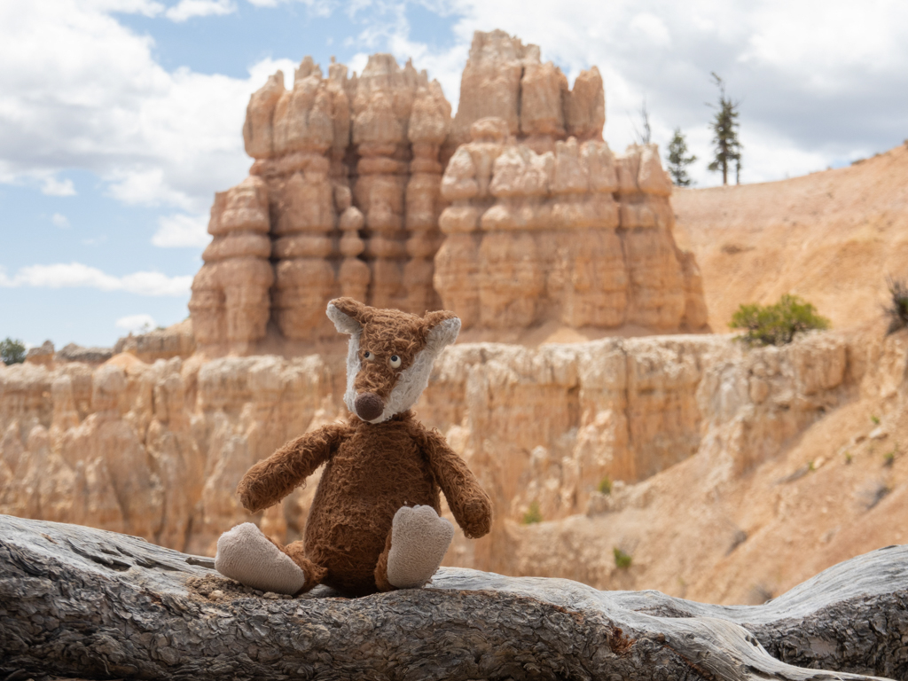 Mit Mo auf der Wanderung durch den Bryce Canyon