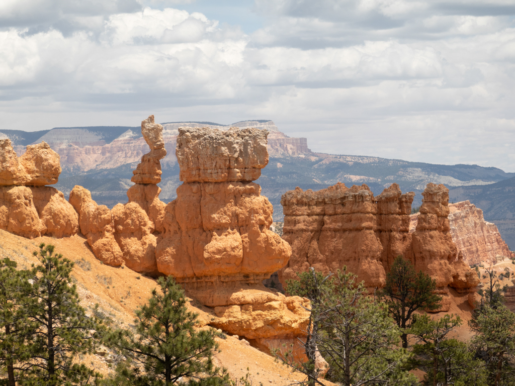 ockerfarbende Gesteinssäulen ragen im Bryce Canyon einsam in den Himmel i