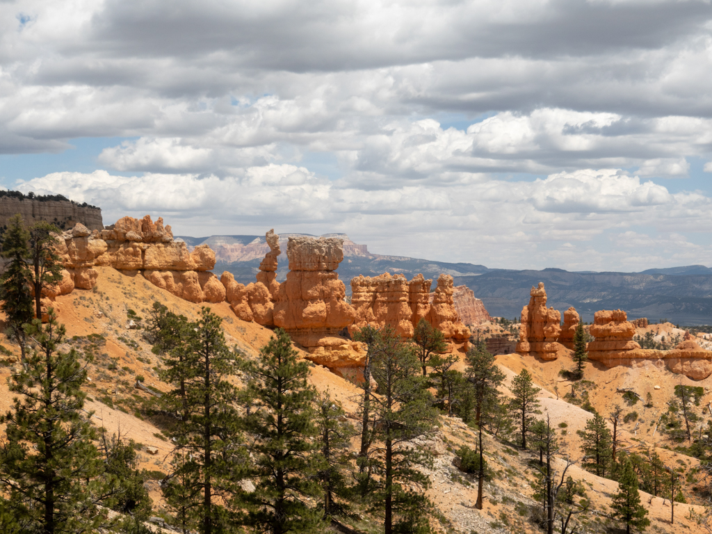 ockerfarbende Gesteinssäulen ragen im Bryce Canyon einsam in den Himmel i